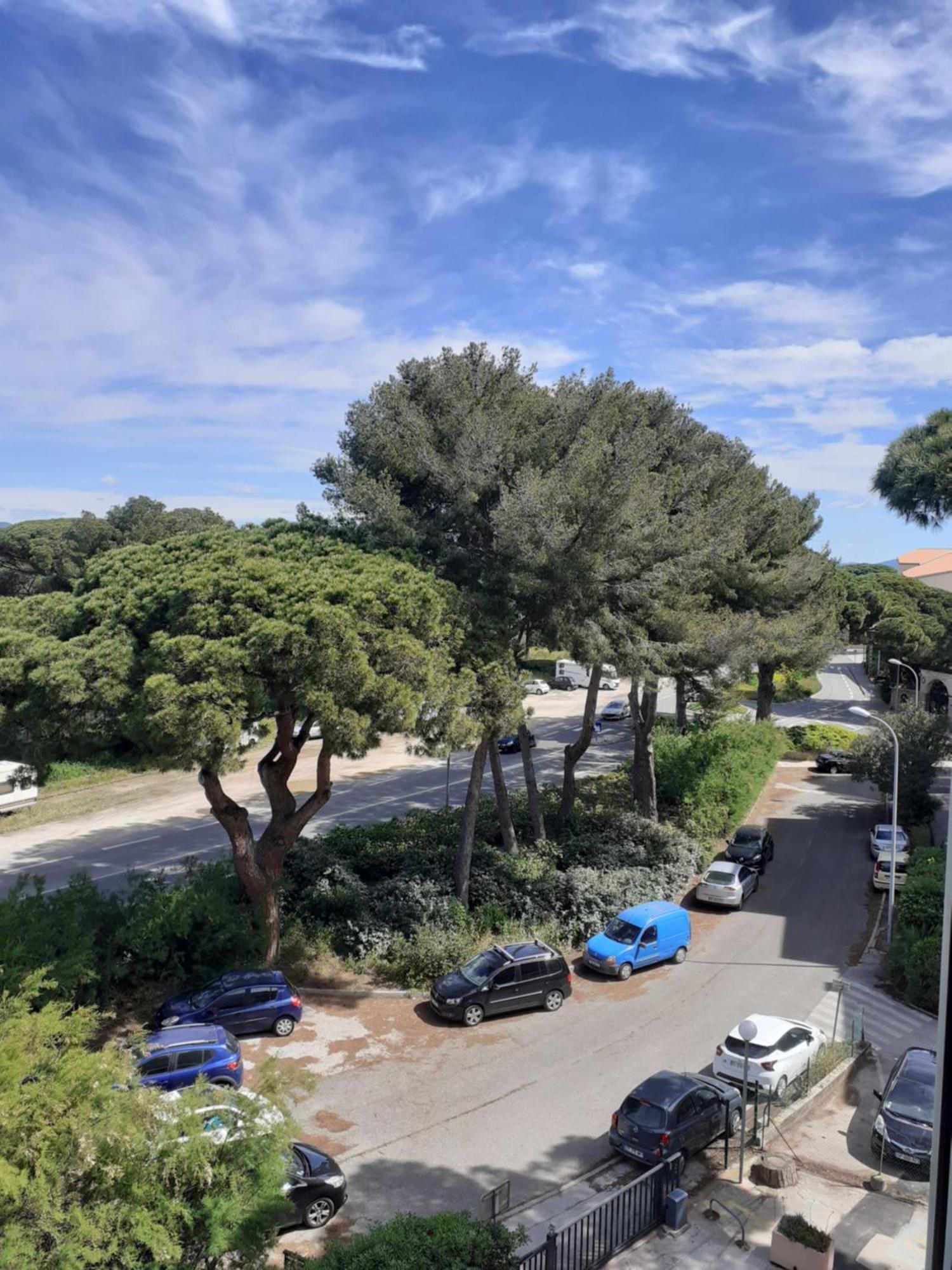 Studio Hyeres Port Et Iles D'Or. Esterno foto